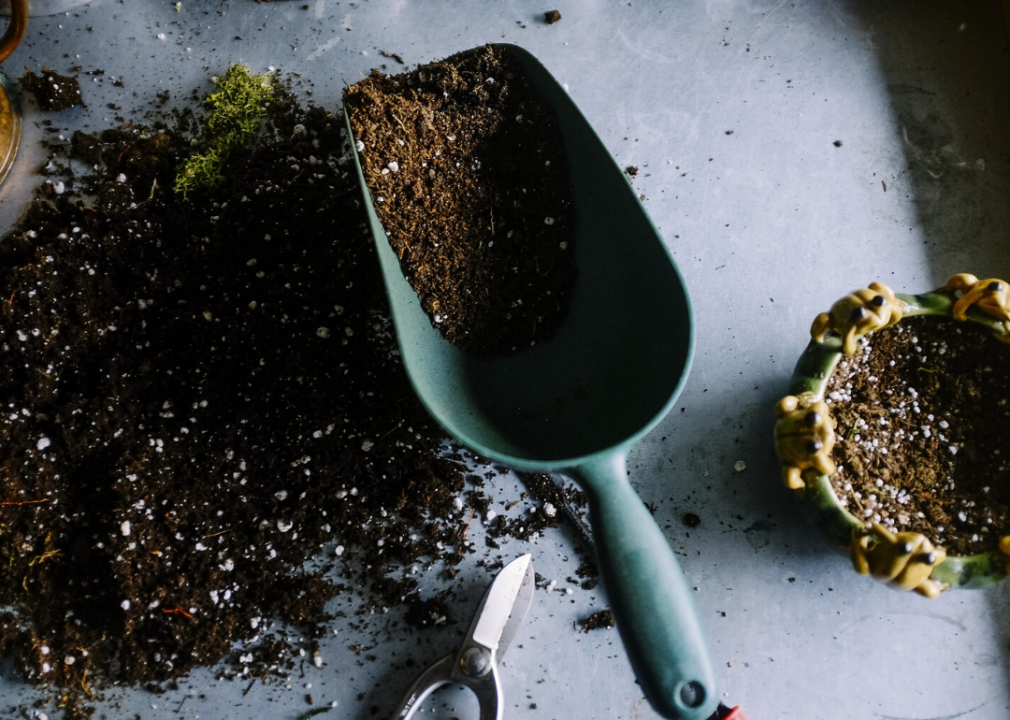 Refresh soil a few times per winter